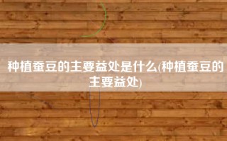 种植蚕豆的主要益处是什么(种植蚕豆的主要益处)