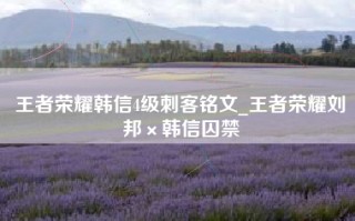 王者荣耀韩信4级刺客铭文_王者荣耀刘邦×韩信囚禁