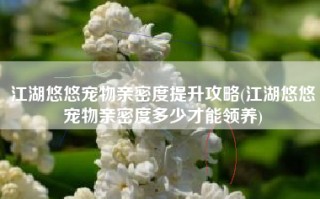 江湖悠悠宠物亲密度提升攻略(江湖悠悠宠物亲密度多少才能领养)