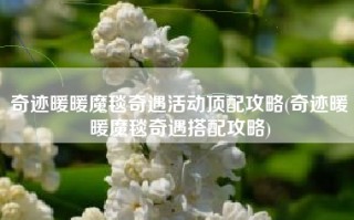 奇迹暖暖魔毯奇遇活动顶配攻略(奇迹暖暖魔毯奇遇搭配攻略)
