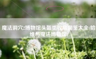 魔法洞穴2博物馆头盔类收藏图鉴大全(哈维与魔法博物馆)