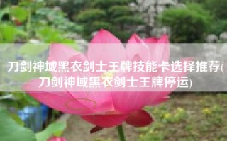 刀剑神域黑衣剑士王牌技能卡选择推荐(刀剑神域黑衣剑士王牌停运)