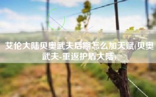 艾伦大陆贝奥武夫后期怎么加天赋(贝奥武夫-重返护盾大陆)