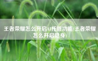 王者荣耀怎么开启AI托管功能(王者荣耀怎么开启隐身)