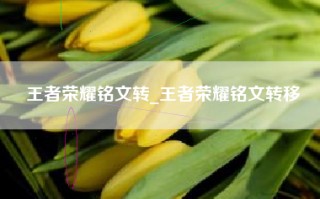 王者荣耀铭文转_王者荣耀铭文转移