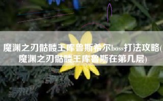 魔渊之刃骷髅王库鲁斯希尔boss打法攻略(魔渊之刃骷髅王库鲁斯在第几层)