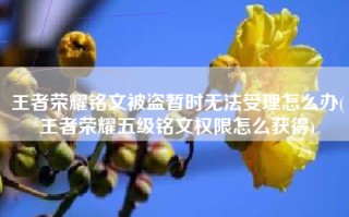 王者荣耀铭文被盗暂时无法受理怎么办(王者荣耀五级铭文权限怎么获得)