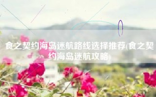 食之契约海岛迷航路线选择推荐(食之契约海岛迷航攻略)