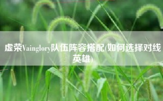 虚荣Vainglory队伍阵容搭配(如何选择对线英雄)