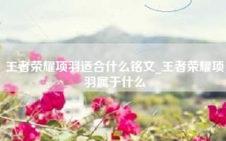 王者荣耀项羽适合什么铭文_王者荣耀项羽属于什么