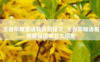 王者荣耀里诸葛亮的铭文_王者荣耀诸葛亮最强铭文怎么搭配