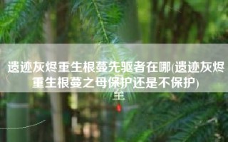 遗迹灰烬重生根蔓先驱者在哪(遗迹灰烬重生根蔓之母保护还是不保护)