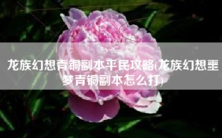 龙族幻想青铜副本平民攻略(龙族幻想噩梦青铜副本怎么打)