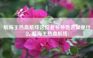 航海王热血航线这位老爷爷他答案是什么(航海王热血航线)