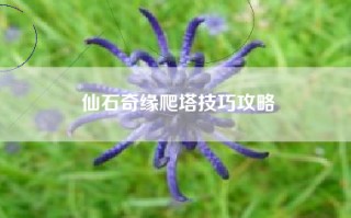 仙石奇缘爬塔技巧攻略