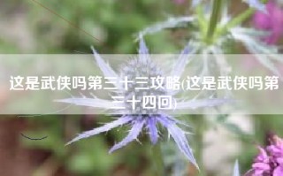 这是武侠吗第三十三攻略(这是武侠吗第三十四回)