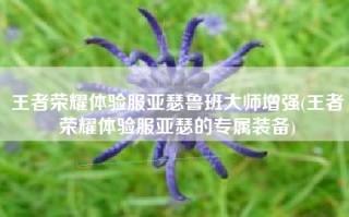 王者荣耀体验服亚瑟鲁班大师增强(王者荣耀体验服亚瑟的专属装备)