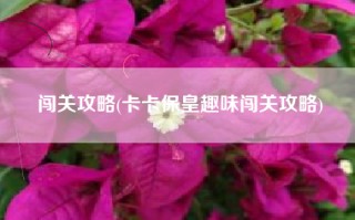 闯关攻略(卡卡保皇趣味闯关攻略)
