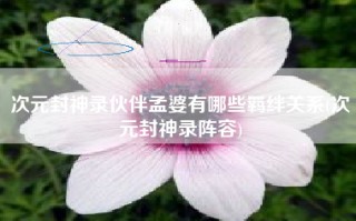 次元封神录伙伴孟婆有哪些羁绊关系(次元封神录阵容)