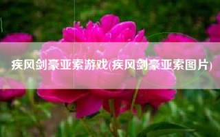疾风剑豪亚索游戏(疾风剑豪亚索图片)
