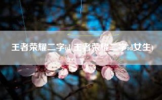 王者荣耀二字id(王者荣耀二字id女生)