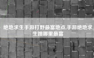 绝地求生手游打野最富地点,手游绝地求生跳哪里最富