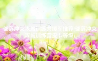 部落冲突攻城训练营援军推荐(部落冲突攻城训练营皮卡等级)