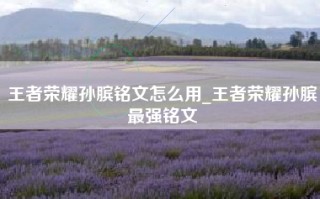 王者荣耀孙膑铭文怎么用_王者荣耀孙膑最强铭文
