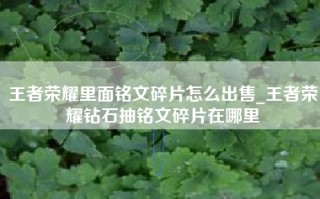 王者荣耀里面铭文碎片怎么出售_王者荣耀钻石抽铭文碎片在哪里