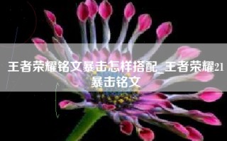 王者荣耀铭文暴击怎样搭配_王者荣耀21暴击铭文