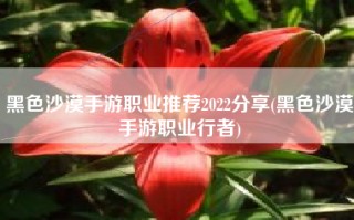 黑色沙漠手游职业推荐2022分享(黑色沙漠手游职业行者)