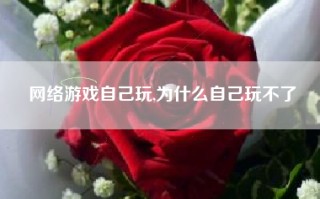 网络游戏自己玩,为什么自己玩不了