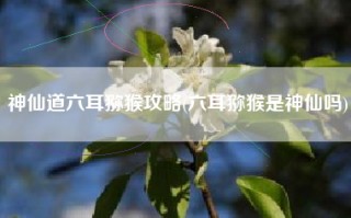 神仙道六耳猕猴攻略(六耳猕猴是神仙吗)