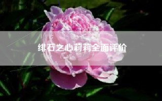 绯石之心莉莉全面评价