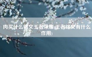 肉买什么铭文王者荣耀(王者铭文有什么作用)