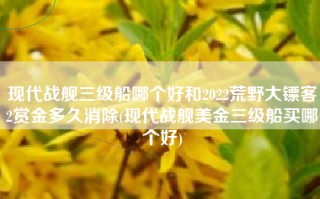 现代战舰三级船哪个好和2022荒野大镖客2赏金多久消除(现代战舰美金三级船买哪个好)