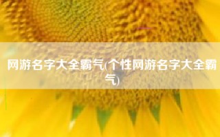 网游名字大全霸气(个性网游名字大全霸气)