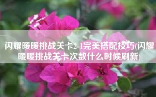 闪耀暖暖挑战关卡2-1完美搭配技巧(闪耀暖暖挑战关卡次数什么时候刷新)