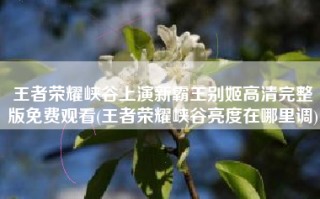 王者荣耀峡谷上演新霸王别姬高清完整版免费观看(王者荣耀峡谷亮度在哪里调)