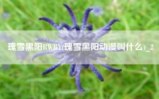 瑰雪黑阳RWBY(瑰雪黑阳动漫叫什么)_2