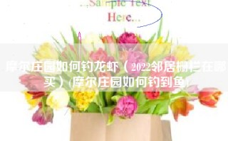 摩尔庄园如何钓龙虾（2022邻居栅栏在哪买）(摩尔庄园如何钓到鱼)