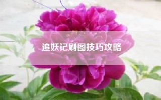 追妖记刷图技巧攻略