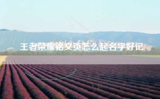 王者荣耀铭文页怎么起名字好记