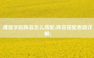 魂器学院阵容怎么搭配(阵容搭配思路详解)