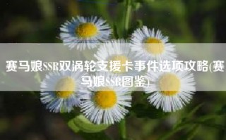 赛马娘SSR双涡轮支援卡事件选项攻略(赛马娘SSR图鉴)