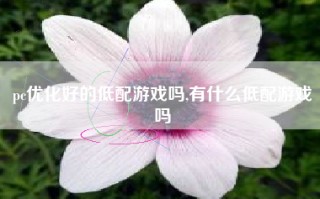 pc优化好的低配游戏吗,有什么低配游戏吗