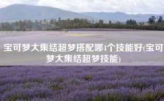 宝可梦大集结超梦搭配哪4个技能好(宝可梦大集结超梦技能)