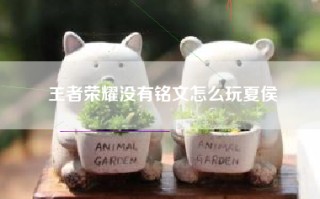 王者荣耀没有铭文怎么玩夏侯惇