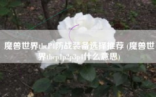 魔兽世界tbcP4防战装备选择推荐 (魔兽世界tbcp1p2p3p4什么意思)