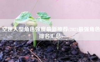 空匣人型角色强度最新推荐(2021最强角色排名汇总)
